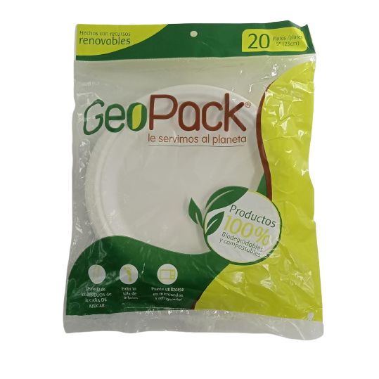 Plato Desechable GeoPack Grande Paq. x 20u.