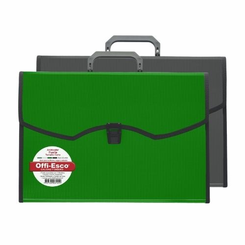 Archivador  Fuelle 13 Bolsillos Carta Solido OE-450