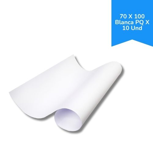 Cartulina Bristol Pliego 70 X 100 Blanca Paq X 10 Und