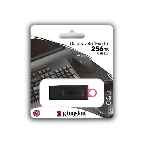 Memoria Usb Kingston 256 Gb 3.2 Exodia Dtxs en Abastece.co