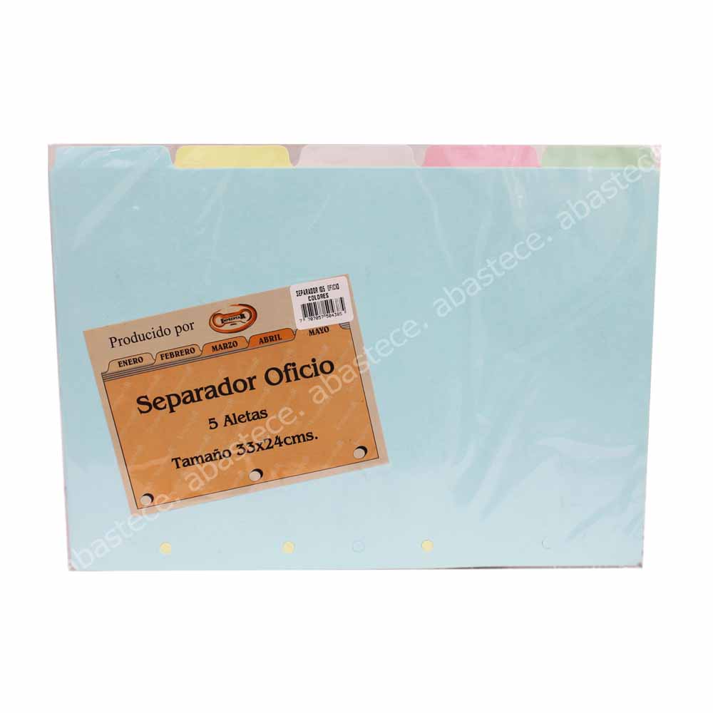 Guia Clasificadora Oficio Surtidas (paquete X 5 Cartulinas)